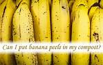Can I Put Banana Peels in My Compost?